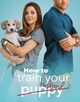 How to Train Your Husband (2018) fzmovies free download MP4