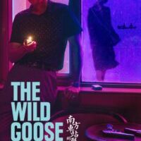 The Wild Goose Lake (2019) fzmovies free download MP4