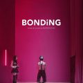 Bonding Season 1, 2, Fztvseries Free Download