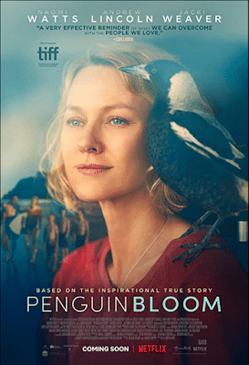 Penguin Bloom (2021) Fzmovies Free Download