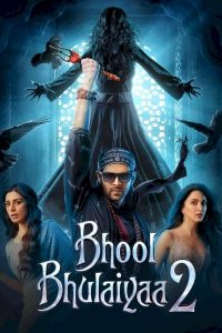 Bhool Bhulaiyaa 2 (2022) [Indian] Movie Download MP4