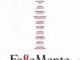 Follemente (2025) MOVIE
