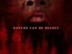 The Woods (2024) MOVIE