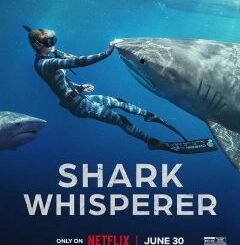 Shark Whisperer (2025) MOVIE