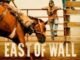 East of Wall (2025) MOVIE