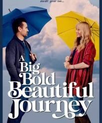 A Big Bold Beautiful Journey (2025) MOVIE