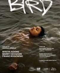 Bird (2025) MOVIE