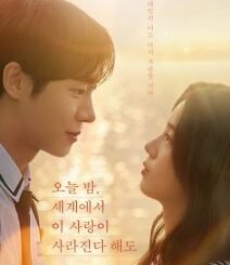 Even if This Love Disappears from the World Tonight (2025) MOVIE
