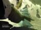 The Legend of Hei II (2025) MOVIE