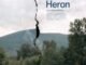Blue Heron (2026) MOVIE
