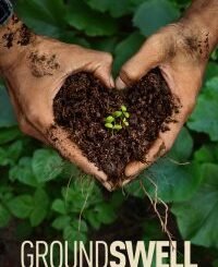 Groundswell (2026) MOVIE