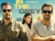 In the Grey (2026) MOVIE